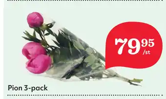 Hemköp Pion 3-pack erbjuda