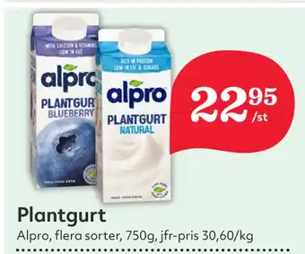 Hemköp Plantgurt erbjuda