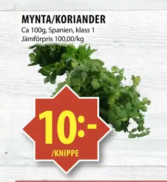 Matvärlden Tensta MYNTA/KORIANDER erbjuda