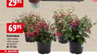 Jem&Fix FUCHSIA erbjuda