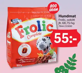 DollarStore Hundmat erbjuda