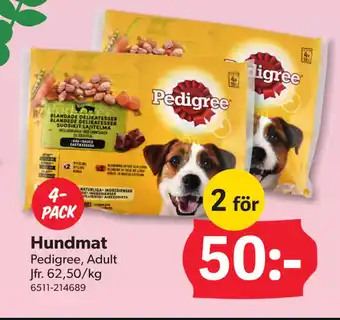 DollarStore Hundmat erbjuda