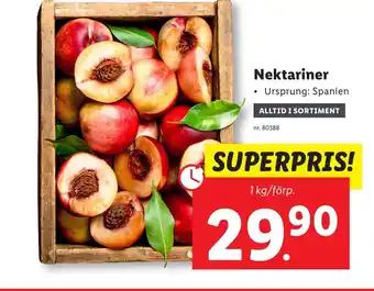 Lidl Nektariner erbjuda