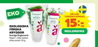 Stora Coop EKOLOGISKA FÄRSKA KRYDDOR erbjuda