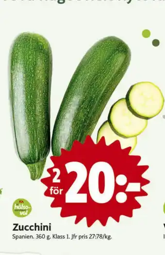 Zucchini