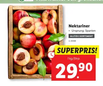 Lidl Nektariner erbjuda