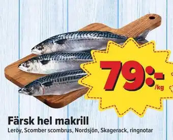 Östenssons Färsk hel makrill erbjuda