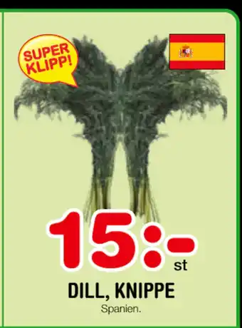 DILL, KNIPPE