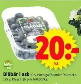 ICA Supermarket Blåbär i ask erbjuda