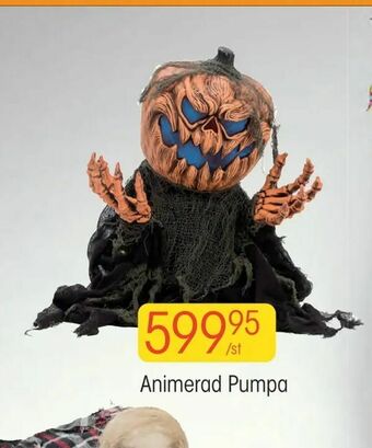 EKO Animerad Pumpa erbjuda