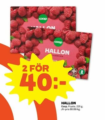 Hallon