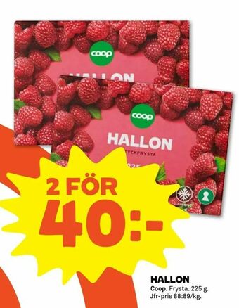 Hallon