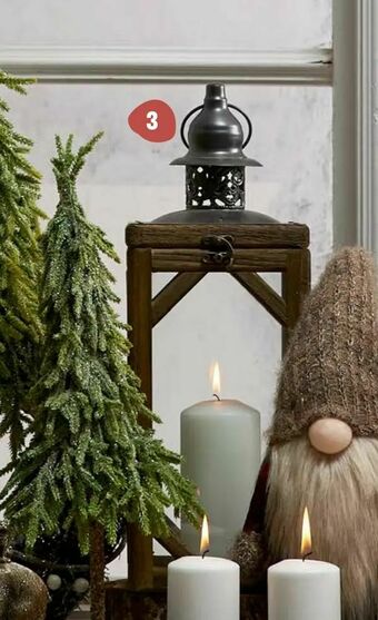 Blomsterlandet Lykta assar erbjuda
