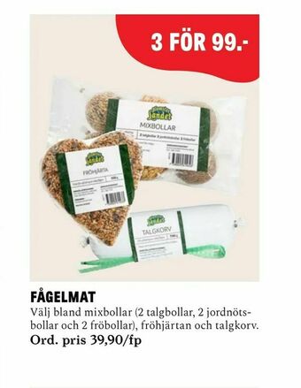 Fågelmat
