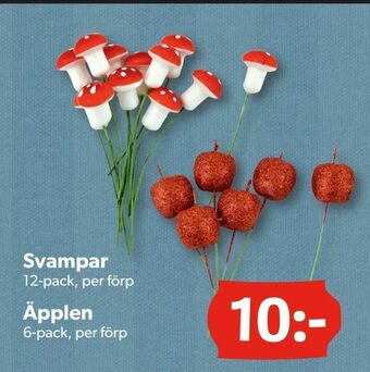 DollarStore Svampar erbjuda