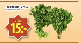 Matvärlden Tensta Koriander · mynta · erbjuda