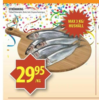Matvärlden Tensta Strömming erbjuda