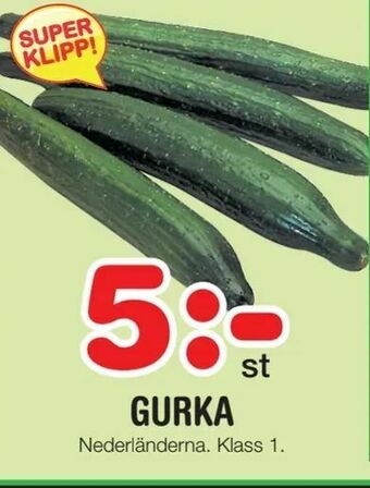 Nya Pulsen Gurka erbjuda