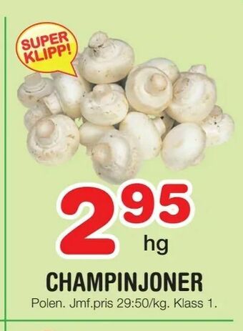 Nya Pulsen Champinjoner erbjuda