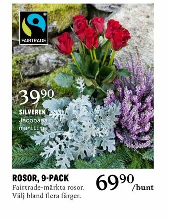 Rosor, 9-pack