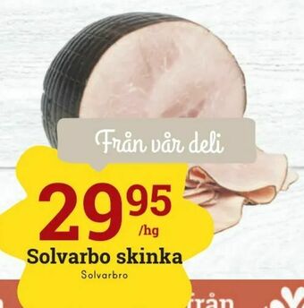 Solvarbo skinka