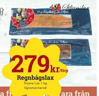 Regnbågslax