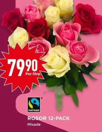 Willys ROSOR 12-PACK erbjuda