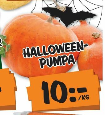Halloween- pumpa