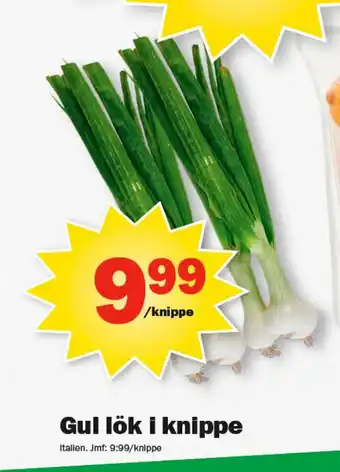 Gul lök i knippe