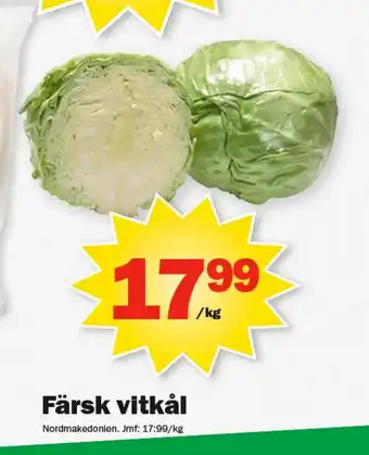 Pekås Färsk vitkål erbjuda