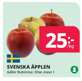 Tempo SVENSKA ÄPPLEN erbjuda