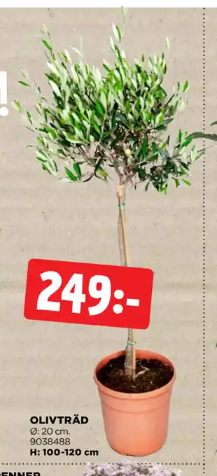 Jem&Fix OLIVTRÄD erbjuda