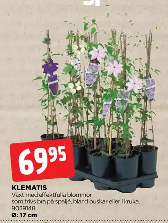 Jem&Fix KLEMATIS erbjuda