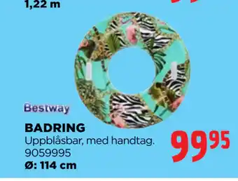 BADRING