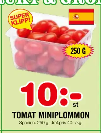 TOMAT MINIPLOMMON