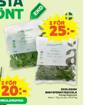 Stora Coop EKOLOGISK BABYSPENAT/RUCCOLA erbjuda
