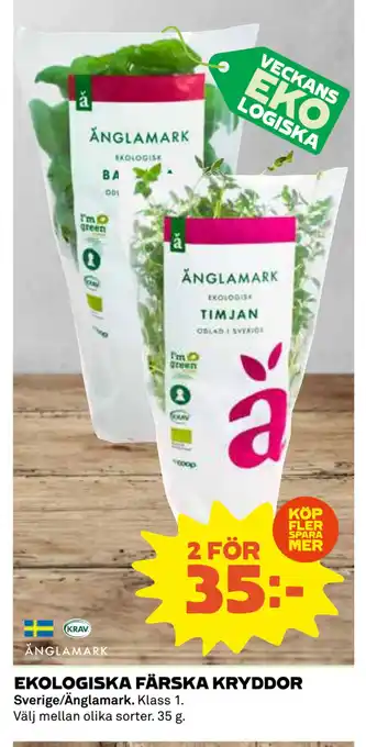 Coop Daglivs EKOLOGISKA FÄRSKA KRYDDOR erbjuda