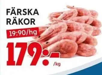 Ica Hajen Lagpris FÄRSKA RÄKOR erbjuda