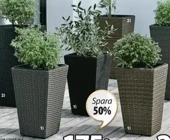 JYSK BLOMMOR UTEKRUKA erbjuda