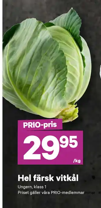 Hel färsk vitkål