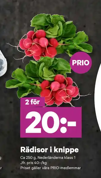City Gross Rädisor i knippe erbjuda