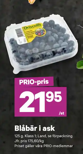 City Gross Blåbär i ask erbjuda