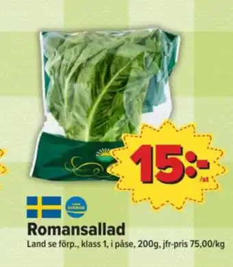 Garant sallat