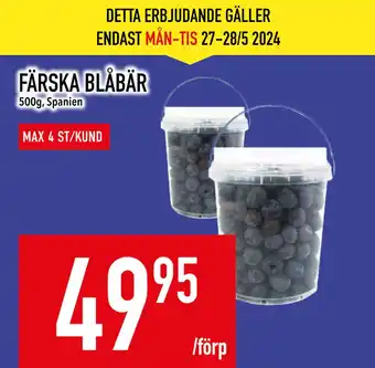 Matdax FÄRSKA BLÅBÄR erbjuda