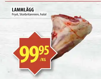 Matvärlden Tensta LAMMLÄGG erbjuda