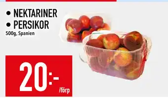 Matdax NEKTARINER • PERSIKOR erbjuda