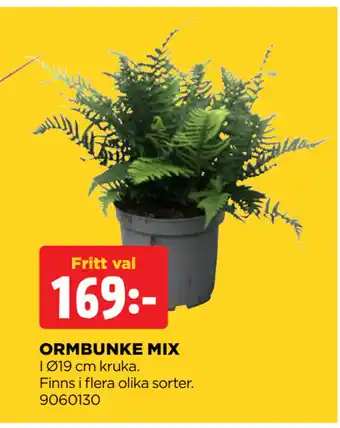 Jem&Fix ORMBUNKE MIX erbjuda