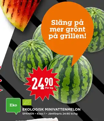 Willys EKOLOGISK MINIVATTENMELON erbjuda