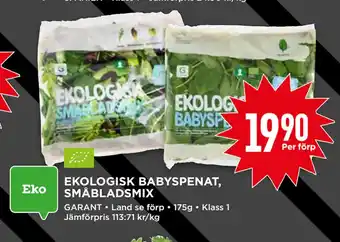 Willys EKOLOGISK BABYSPENAT, SMÅBLADSMIX erbjuda