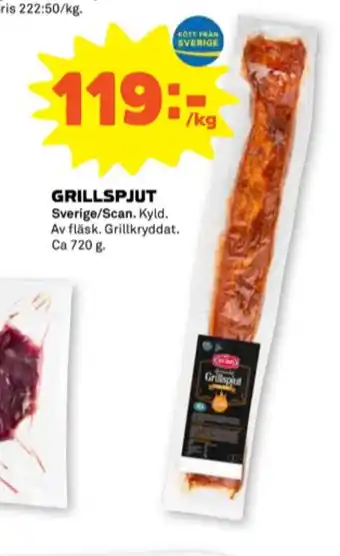 Stora Coop Scan grillspjut erbjuda